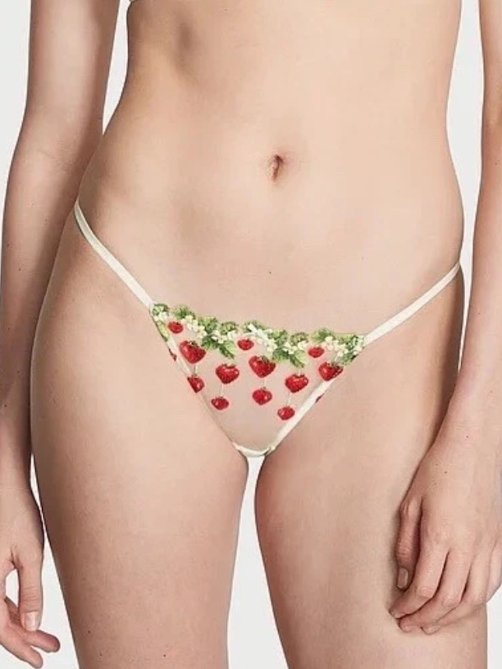 NWT Victoria's Secret Dream Angels Strawberry Embroidery Cheekini Panty Size M